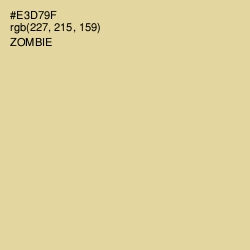 #E3D79F - Zombie Color Image