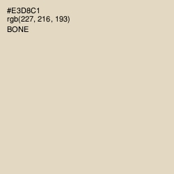 #E3D8C1 - Bone Color Image