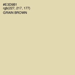 #E3D9B1 - Grain Brown Color Image