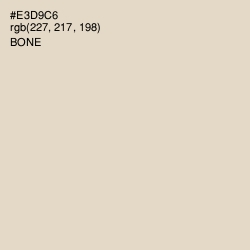 #E3D9C6 - Bone Color Image