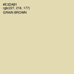 #E3DAB1 - Grain Brown Color Image
