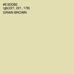 #E3DDB2 - Grain Brown Color Image