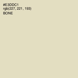 #E3DDC1 - Bone Color Image