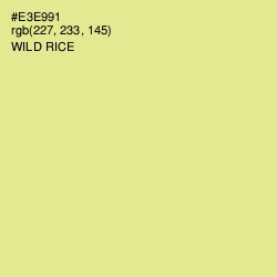 #E3E991 - Wild Rice Color Image