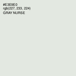 #E3E9E0 - Gray Nurse Color Image