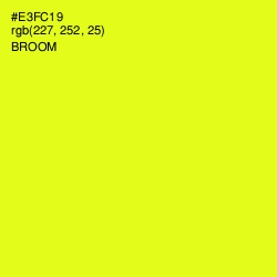 #E3FC19 - Broom Color Image