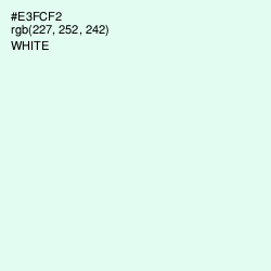 #E3FCF2 - Off Green Color Image