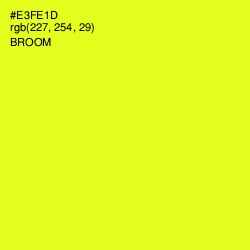 #E3FE1D - Broom Color Image