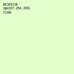 #E3FECB - Tusk Color Image