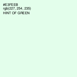 #E3FEEB - Hint of Green Color Image