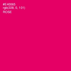 #E40065 - Rose Color Image
