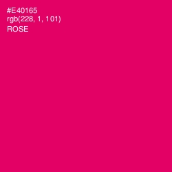 #E40165 - Rose Color Image