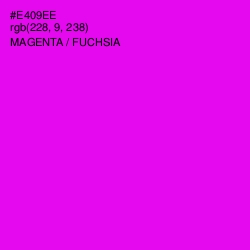 #E409EE - Magenta / Fuchsia Color Image