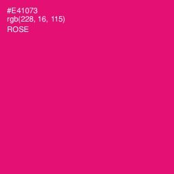 #E41073 - Rose Color Image