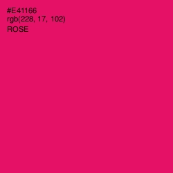 #E41166 - Rose Color Image