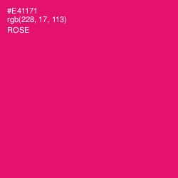 #E41171 - Rose Color Image