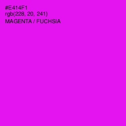 #E414F1 - Magenta / Fuchsia Color Image