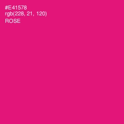 #E41578 - Rose Color Image