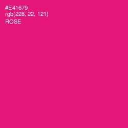 #E41679 - Rose Color Image