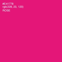 #E41778 - Rose Color Image