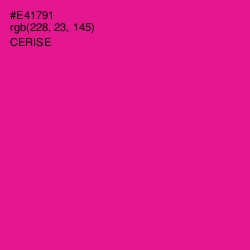 #E41791 - Cerise Color Image