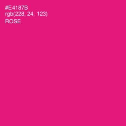 #E4187B - Rose Color Image