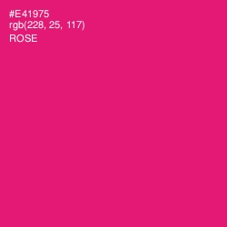 #E41975 - Rose Color Image