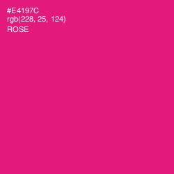 #E4197C - Rose Color Image