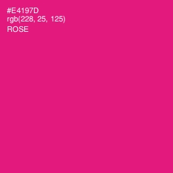 #E4197D - Rose Color Image