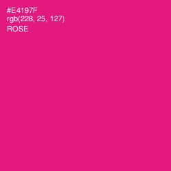 #E4197F - Rose Color Image