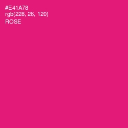 #E41A78 - Rose Color Image