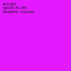 #E41AFE - Magenta / Fuchsia Color Image