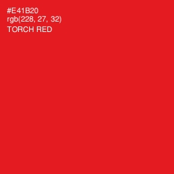 #E41B20 - Torch Red Color Image