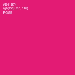 #E41B74 - Rose Color Image