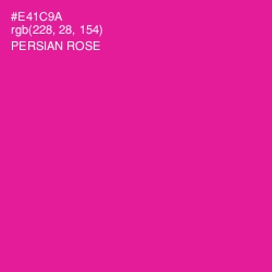 #E41C9A - Persian Rose Color Image