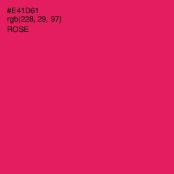 #E41D61 - Rose Color Image