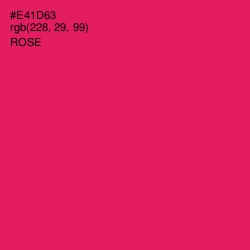 #E41D63 - Rose Color Image