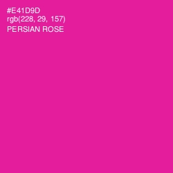 #E41D9D - Persian Rose Color Image