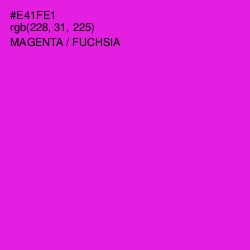 #E41FE1 - Magenta / Fuchsia Color Image