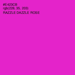 #E423CB - Razzle Dazzle Rose Color Image