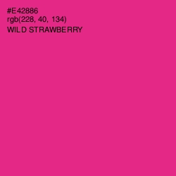 #E42886 - Wild Strawberry Color Image