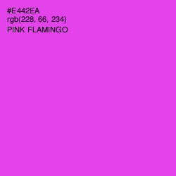 #E442EA - Pink Flamingo Color Image