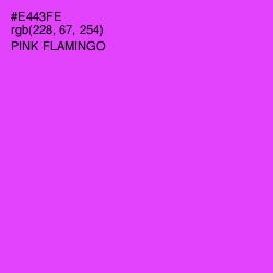#E443FE - Pink Flamingo Color Image