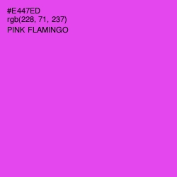 #E447ED - Pink Flamingo Color Image