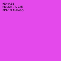 #E44AEB - Pink Flamingo Color Image