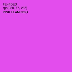 #E44DED - Pink Flamingo Color Image