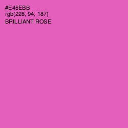 #E45EBB - Brilliant Rose Color Image