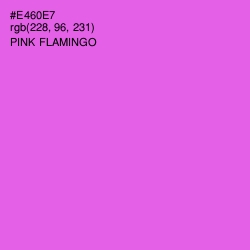 #E460E7 - Pink Flamingo Color Image