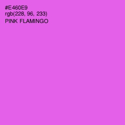 #E460E9 - Pink Flamingo Color Image
