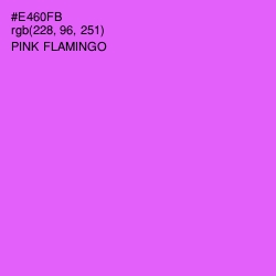 #E460FB - Pink Flamingo Color Image
